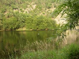 Vltava 9-Třebenice,Svatojánské proudy 17.8.05 (1).jpg